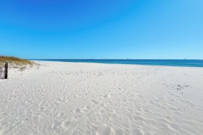 On the beach, sun-loungers - "Above The Waves" Steps To Beach, Panoramic Gulf Views, Pool, 4BR, Dog Friendly (Gulf Shores)