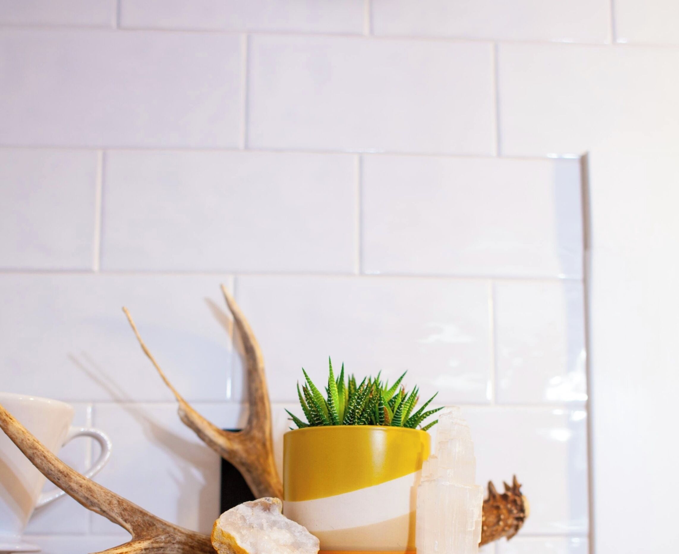 Pared de azulejos blancos con un contenedor amarillo y blanco que contiene una planta suculenta verde.