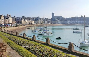 Ein Hafen mit Booten, eine Uferpromenade mit Blumen und historische Gebäude im Hintergrund.