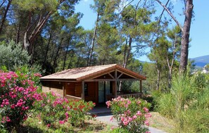 Exterior - Lovely home in Solliès Toucas with sauna (Solliès Toucas)