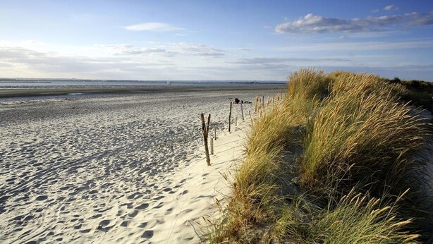 A sandy beach with a wooden fence and grass on the right. - West Wittering Rosemary Cottage – Sleeps 5, Nr Beach, Parking & Family Friendly (West Wittering)