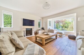 Smart TV, lareira, livros