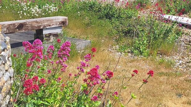 A coastal garden with a stone wall, wooden benches, and a view of the sea. - Unique Railway Carriage Home on Selsey Seafront – Sleeps 7, 5 Bedrooms (Selsey)