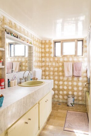 Hair dryer, towels, toilet paper - Zina`s Aqua Retreat | Kos (Kos)