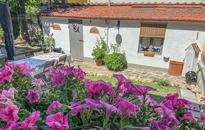 Terrace/patio - 1 bedroom lovely apartment in Firenze (Firenze)