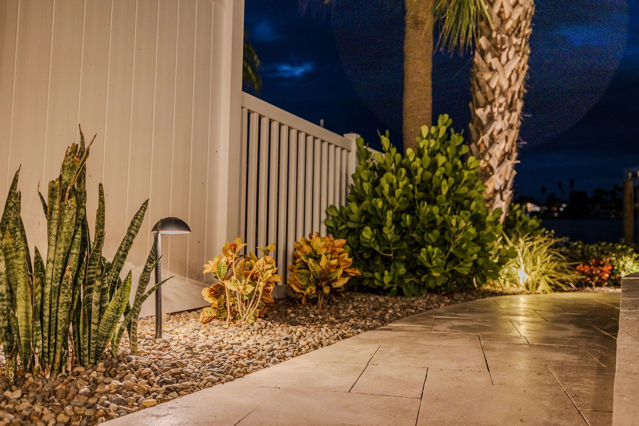 A well-lit pathway with a variety of plants and a palm tree, leading to a building with a white exterior.