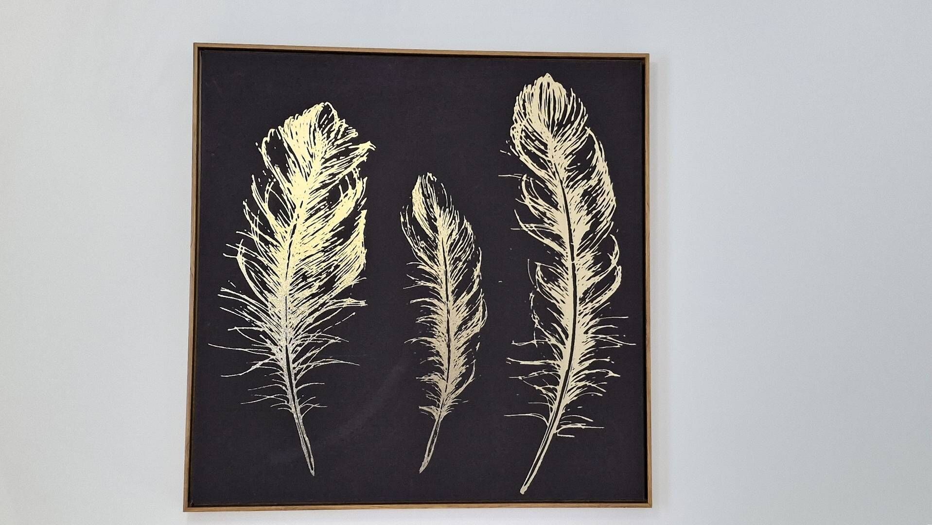 A framed artwork of three feather-like designs on a black background.