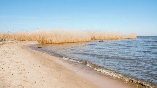 Una playa con agua cristalina, orilla arenosa y pastos altos.