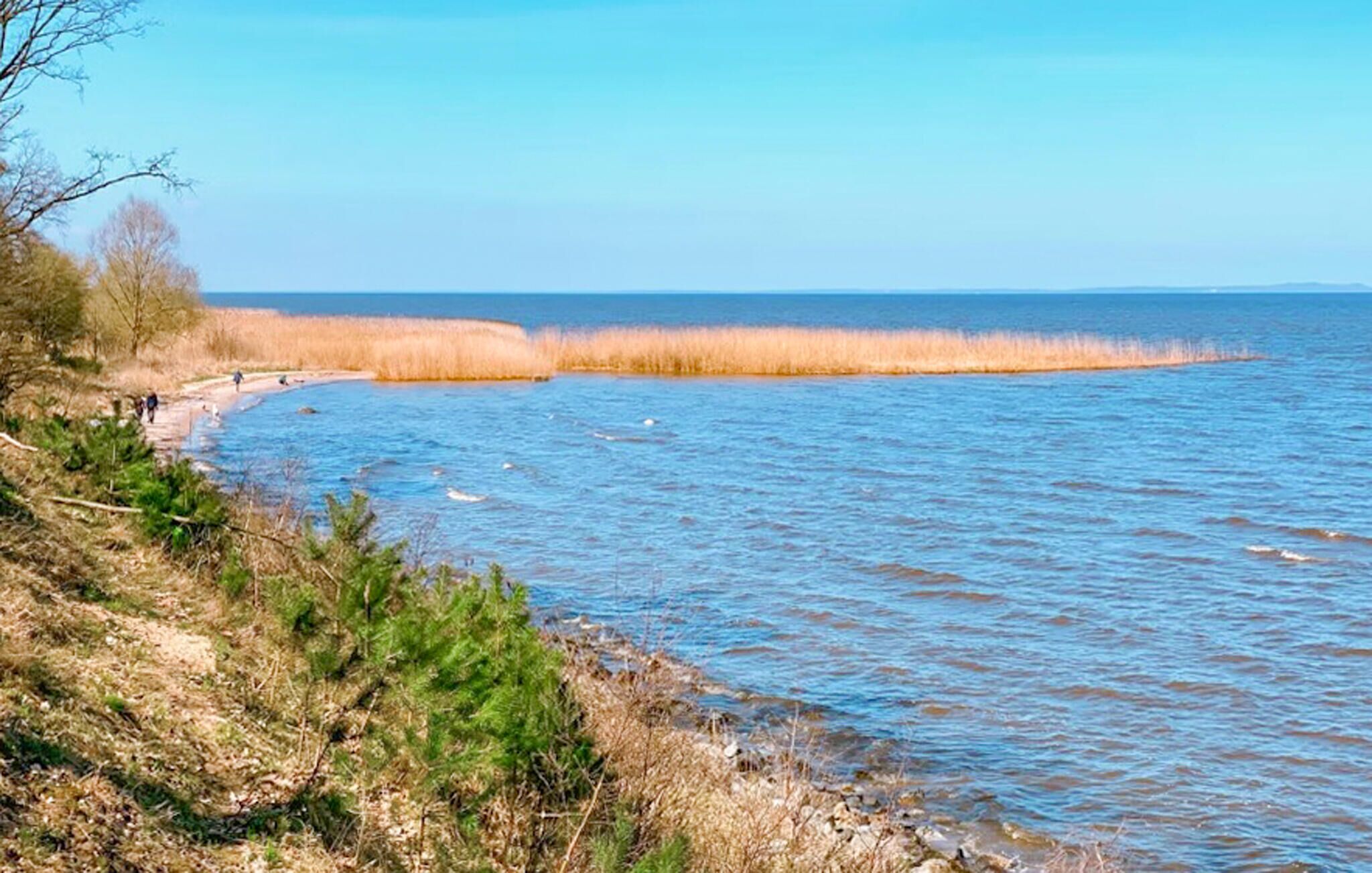 صيد الأسماك