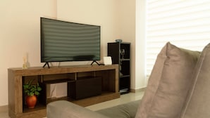 Un salon moderne avec un téléviseur à écran plat posé sur une console en bois, une plante en pot et un canapé gris.