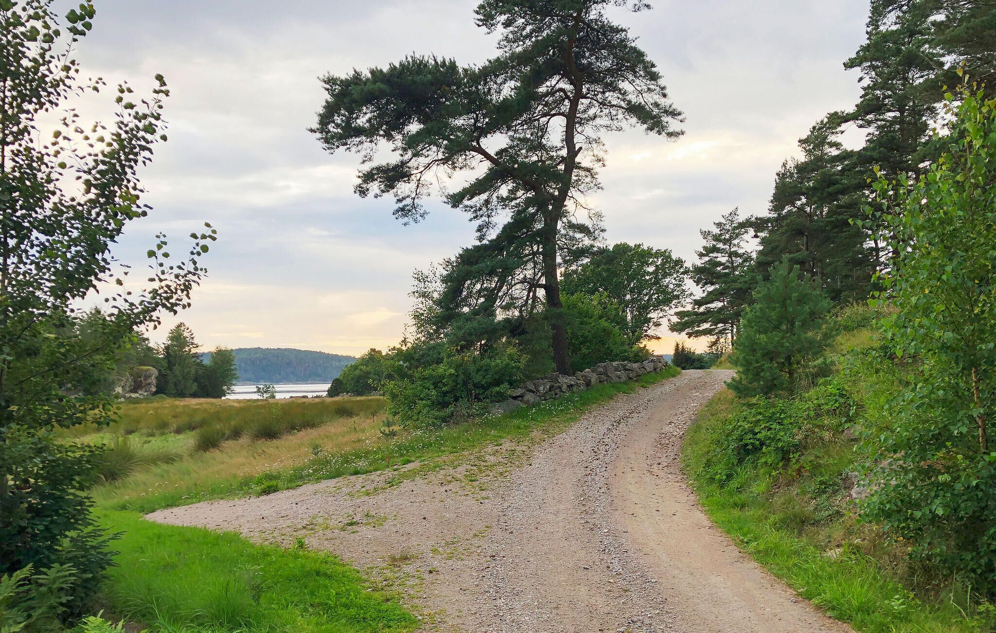 A gravel path leading through a wooded area with a view of a body of water in the distance.