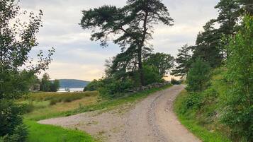 A gravel path leading through a wooded area with a view of a body of water in the distance.