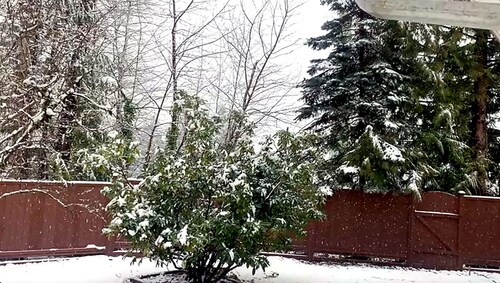 2BR Home with Mountain Views, Near Transit, w/ Workspace + Gym. Pets on approval