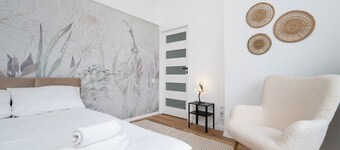 Soft Studio | Kot z Gazetą | Centrum