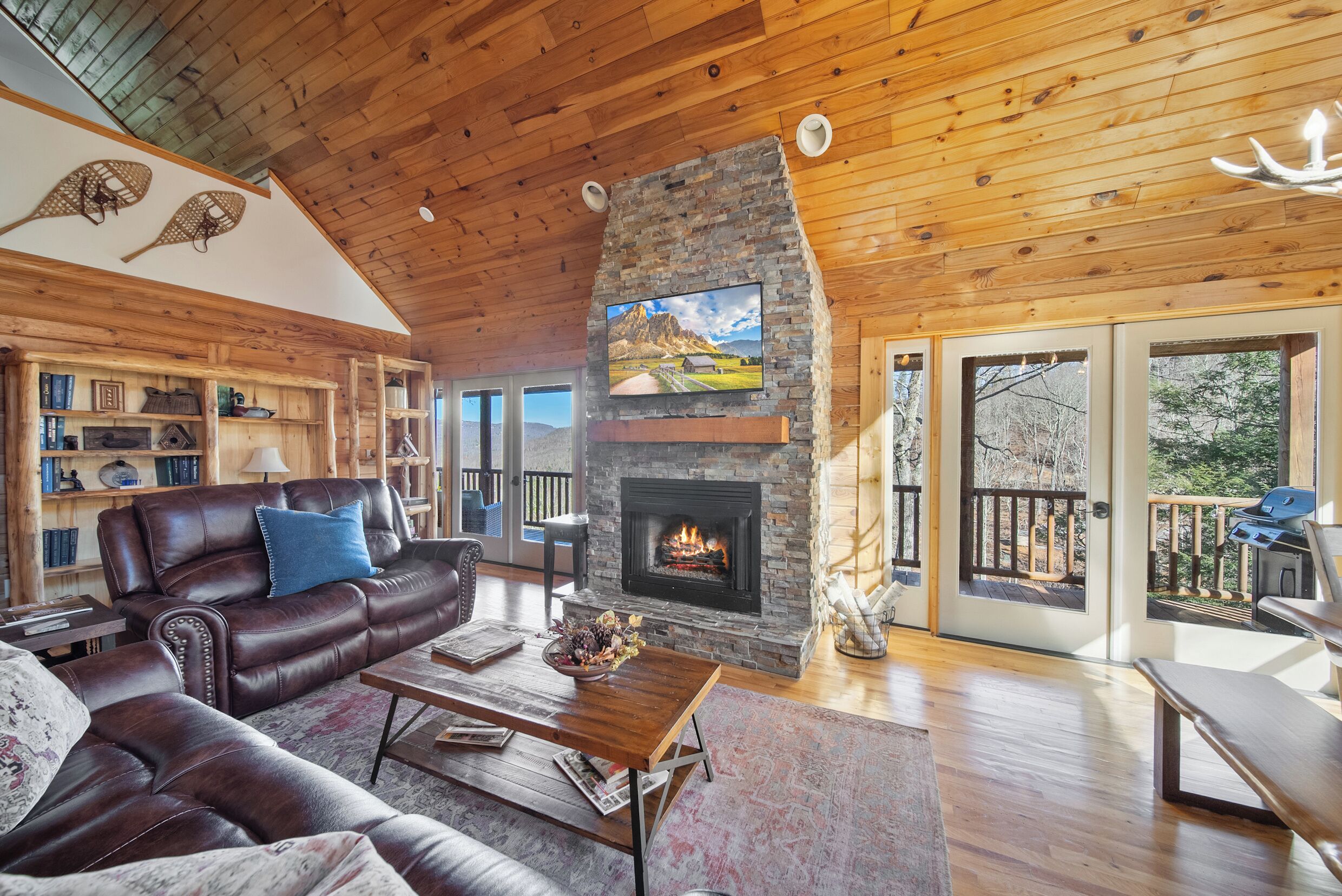 Tv, pejs, bordfodbold, bøger