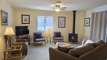 TV, fireplace, books