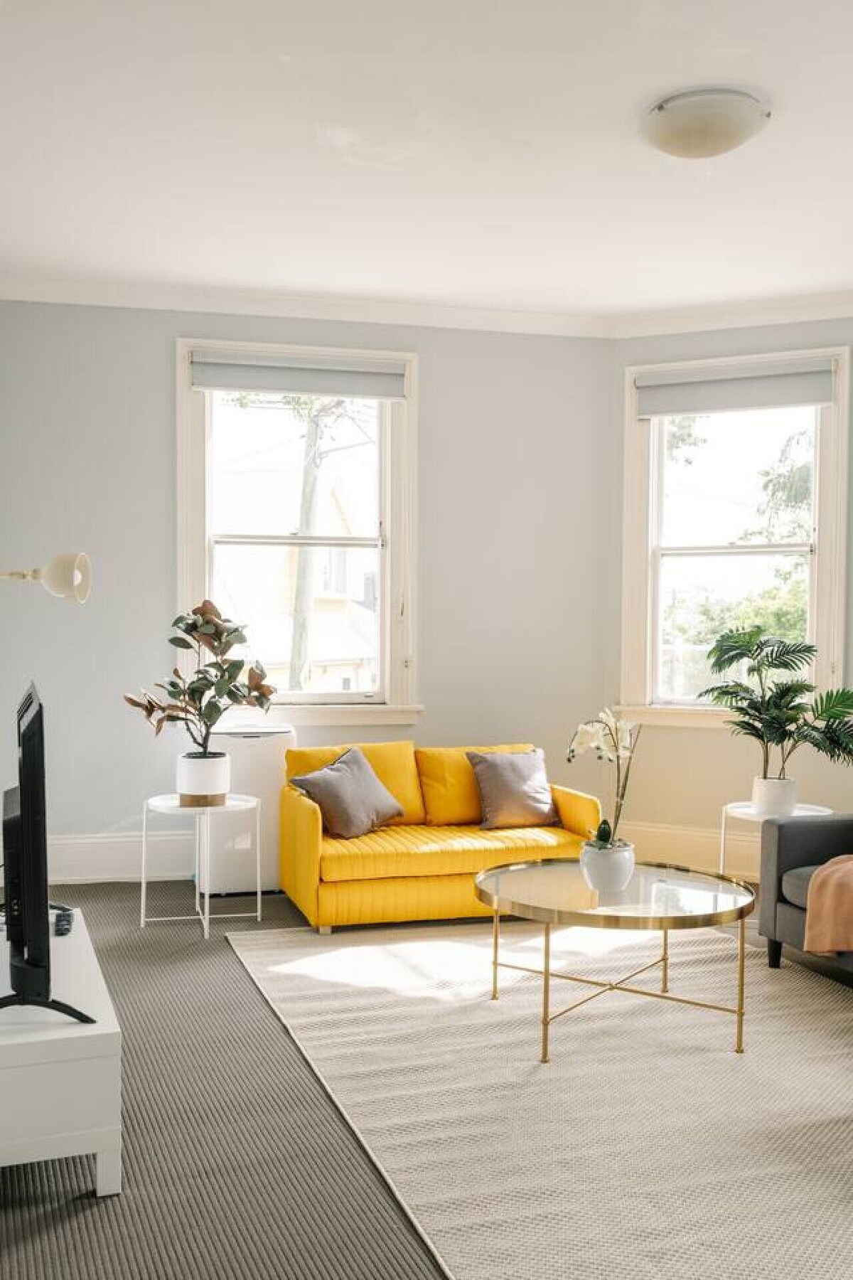 オーナーのプロフィール画像