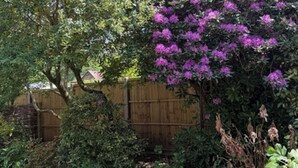 Un jardín con cerdaña de madera, diversas plantas y un árbol con flores moradas.