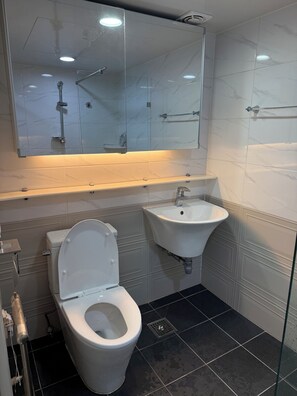 Haartrockner, Handtücher, Seife, Toilettenpapier