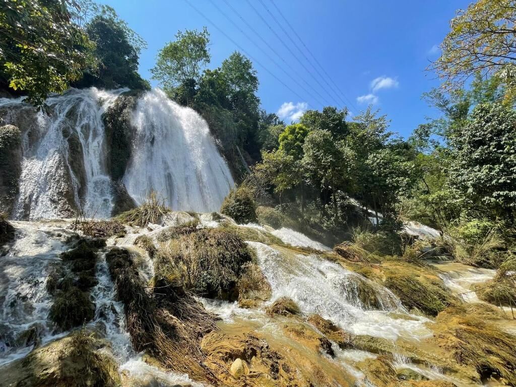 A waterfall surrounded by lush greenery.