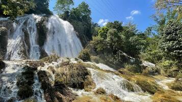 A waterfall surrounded by lush greenery.