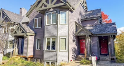 Sunny Jay Peak ski-in/ski-out condo w/ fireplace!