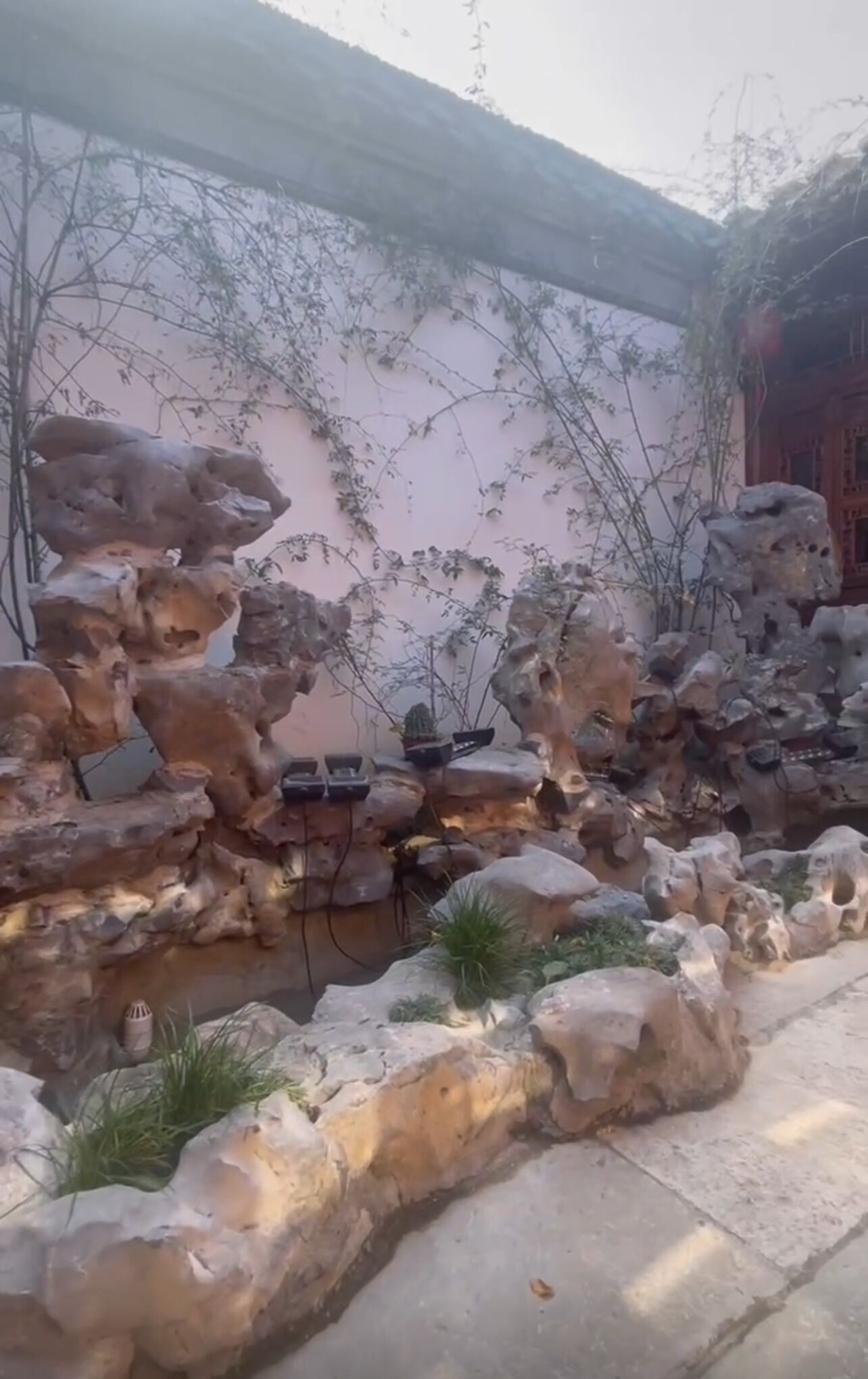 Un jardín rocoso con fuente, plantas en macetas y una pared cubierta de enredaderas.