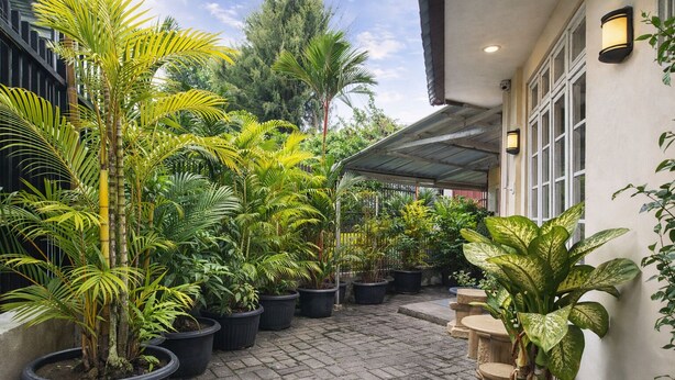 A courtyard with potted plants and a covered walkway. - Homestay Area Malioboro ABC Homestay (yogyakarta)