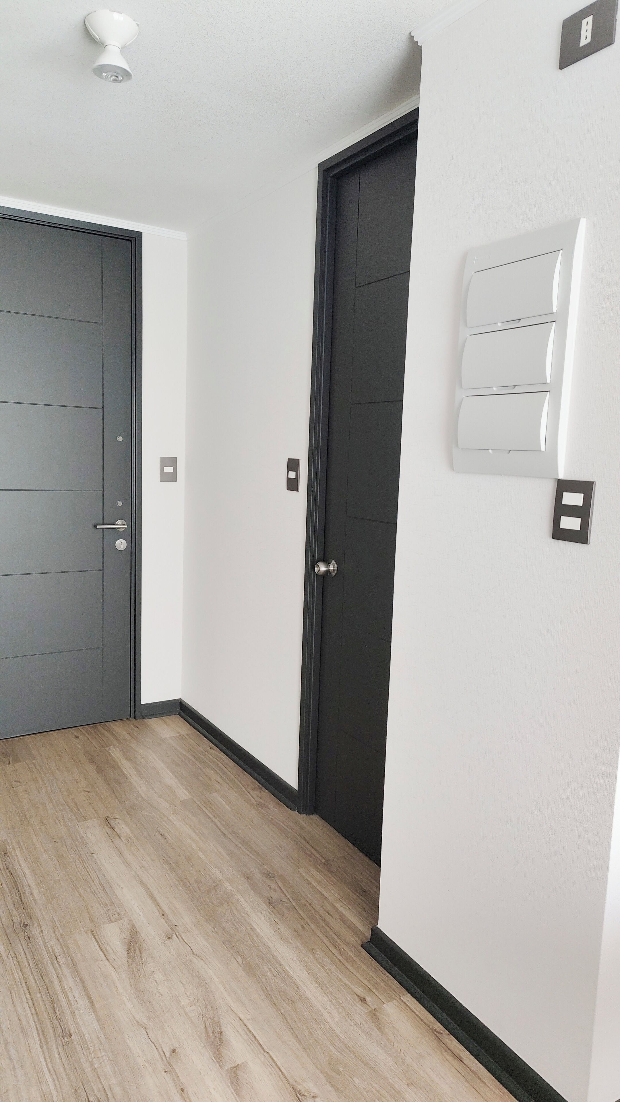 Un couloir avec un plancher en bois, une porte sombre et un interrupteur sur le mur.