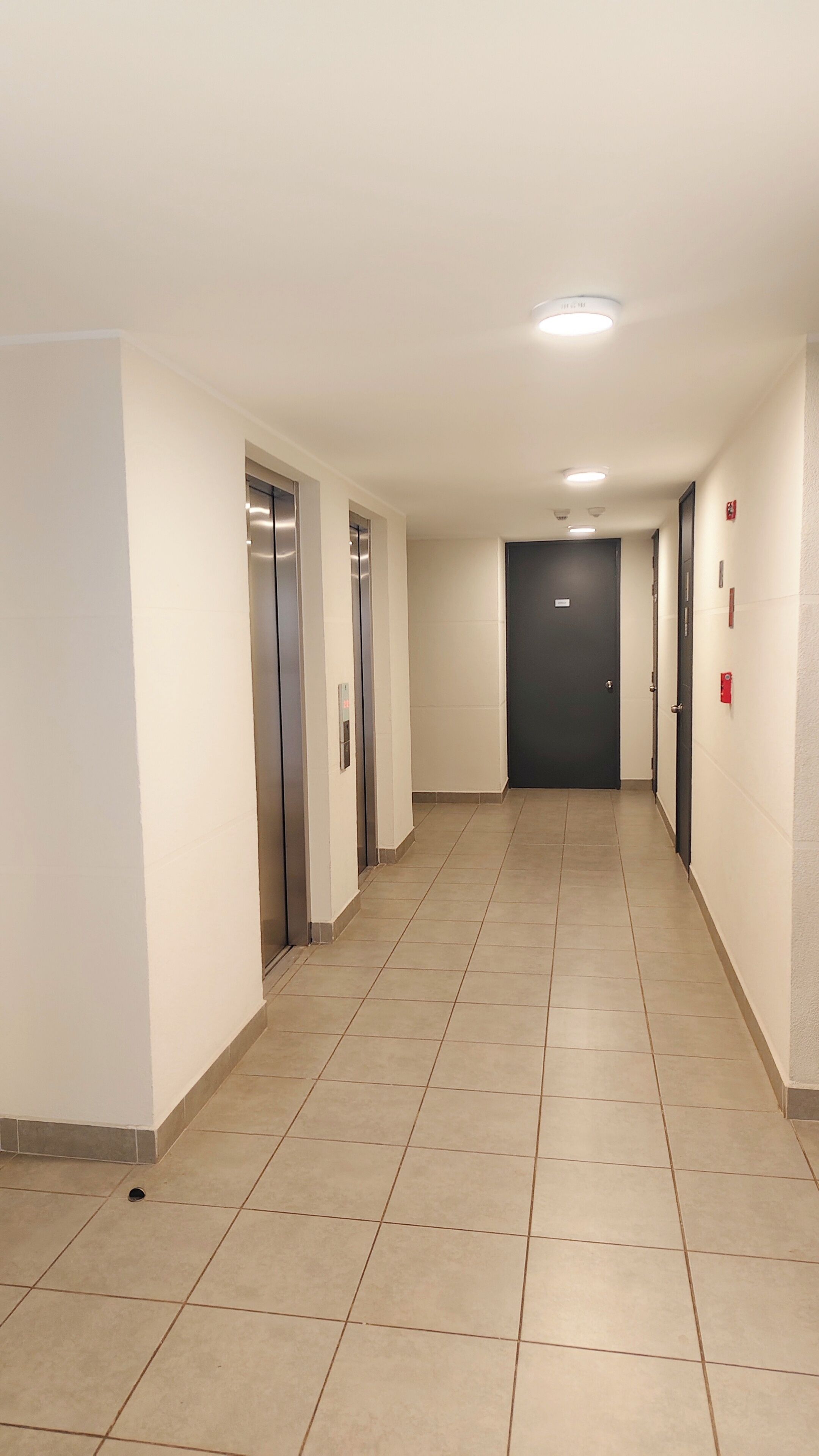 A long, narrow hallway with tiled flooring, three elevators, and a dark door at the end.