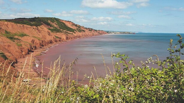 Un paysage côtier comprenant une plage, des falaises et de la végétation.