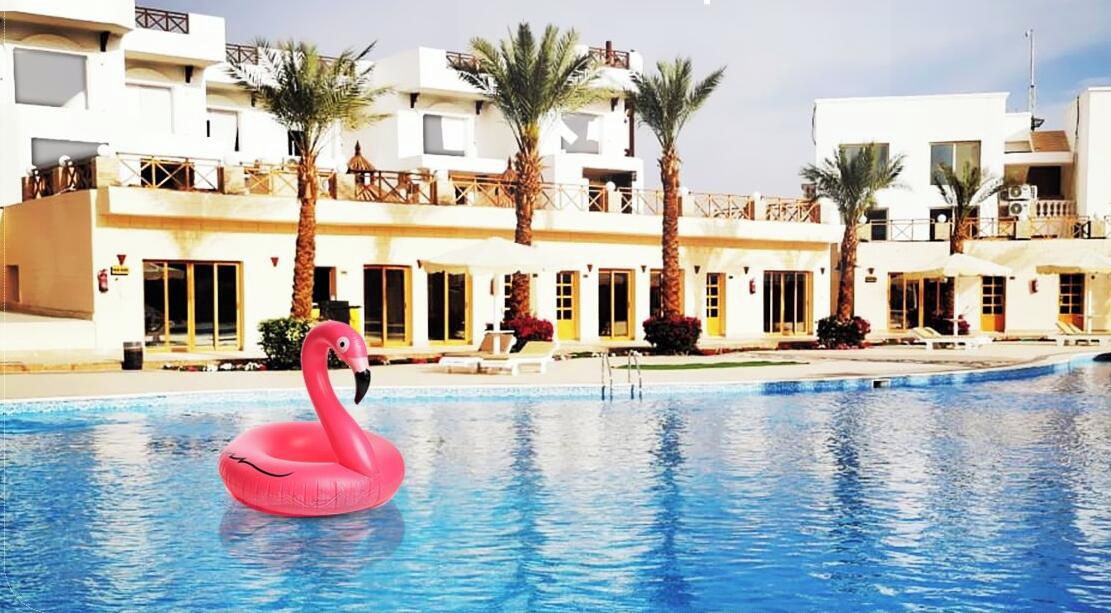 A swimming pool with a pink flamingo float, surrounded by a building with balconies and palm trees.