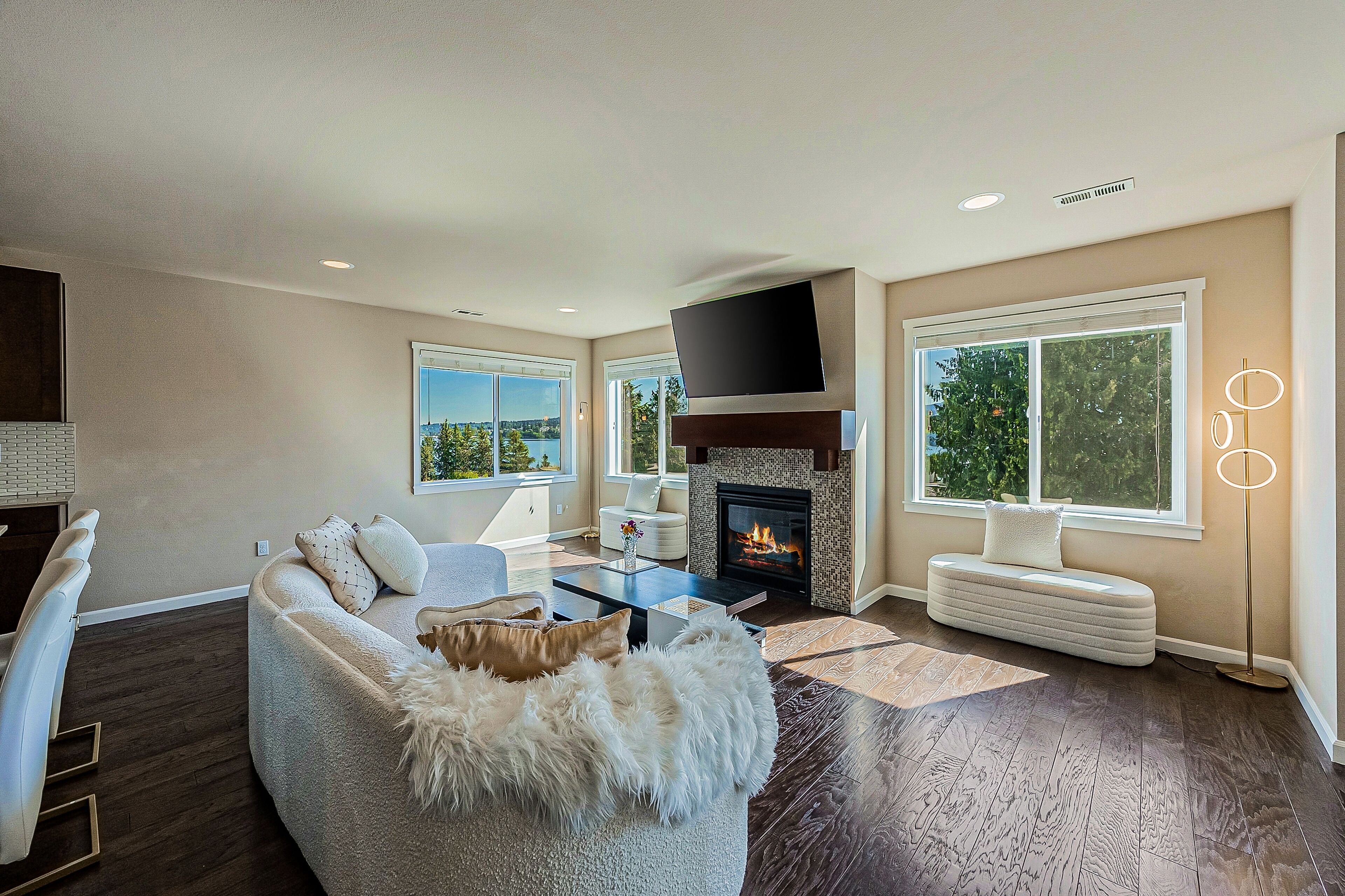 TV, fireplace, books