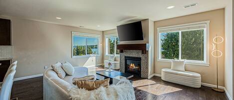 TV, fireplace, books