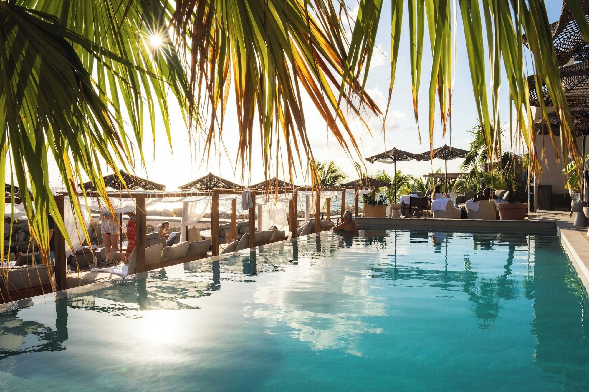 Ein Poolbereich mit Liegestühlen und Sonnenschirmen, umgeben von Palmen.