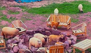 Parco della struttura