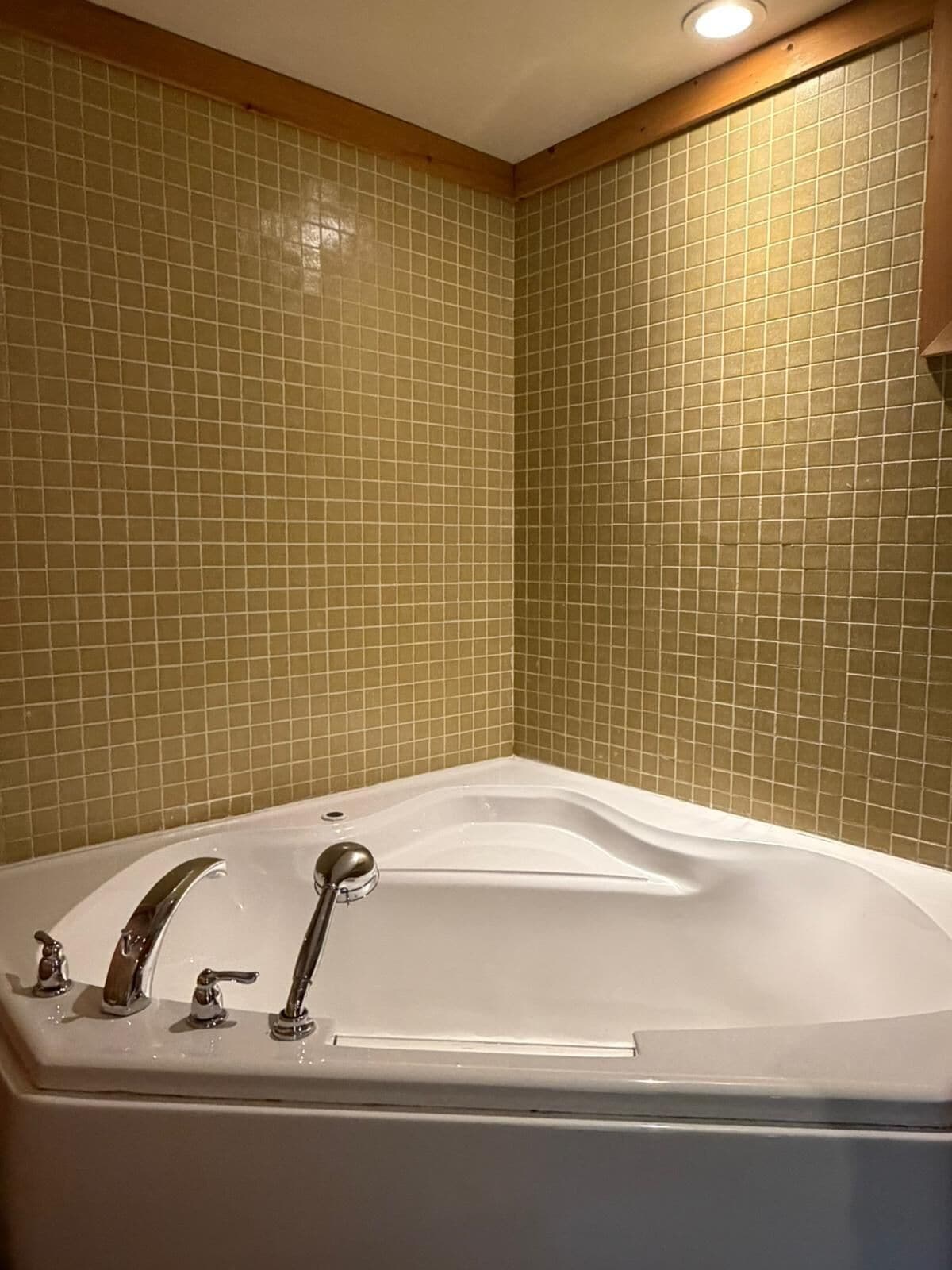 Une salle de bain avec une grande baignoire, une douche et des toilettes. Les murs sont recouverts de carreaux aux motifs brun-vert.