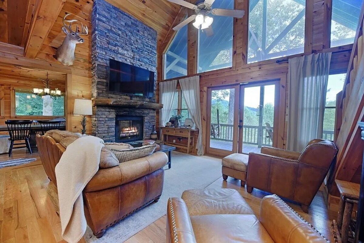 Imagen de perfil del propietario o de la propietaria