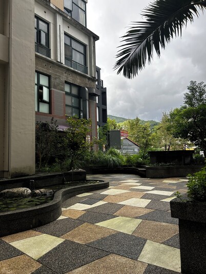 see the mountain again