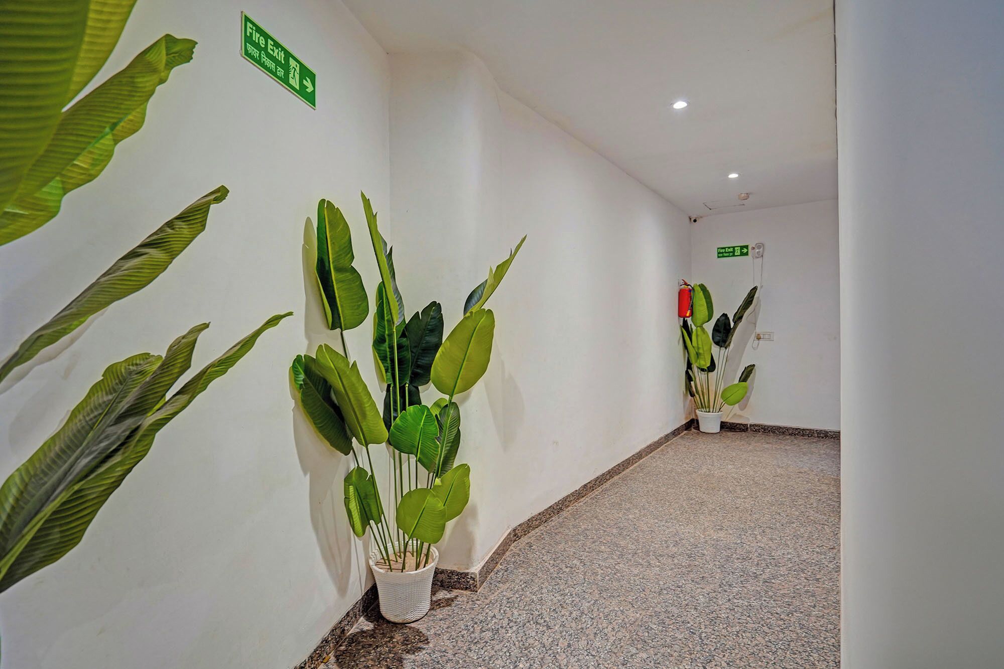 A hallway with green plants, white walls, and a fire exit sign.