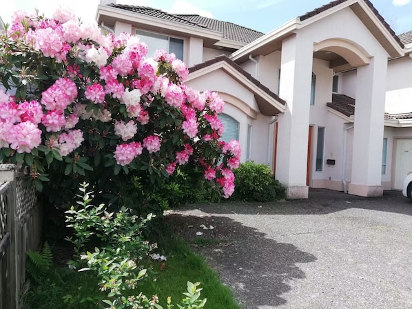 Property grounds - Warm place in beautiful Richmond (Richmond)