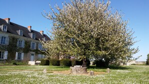 A large tree with white blossoms in front of a historic building with multiple windows and a stone wall. - Gite in manor near futuroscope (Saint-Martin-la-Pallu)