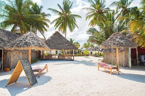 Beach/ocean view - Seafront villa (Pongwe)