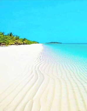 Beach - Palmar Apartments · Comfort & Great Location (Punta Cana)