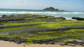 Una costa rocosa con algas verdes y olas rompiendo contra las rocas.