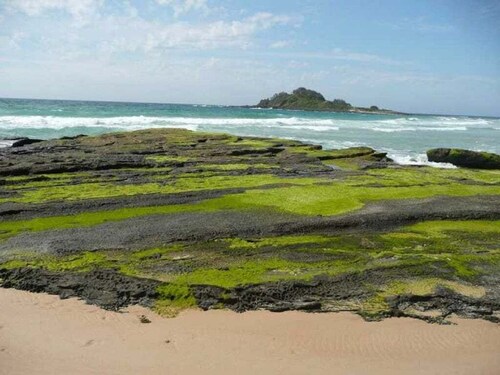 South Coast Retreat ~ Retro Style Cunjurong Point Home