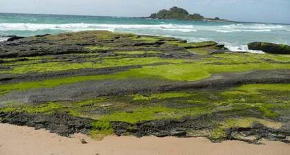 South Coast Retreat ~ Retro Style Cunjurong Point Home