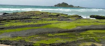 South Coast Retreat ~ Retro Style Cunjurong Point Home