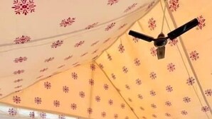 Un dormitorio con cama, ventilador de techo y dosel estampado.