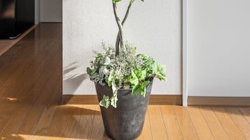 Laptop workspace, iron/ironing board, free WiFi